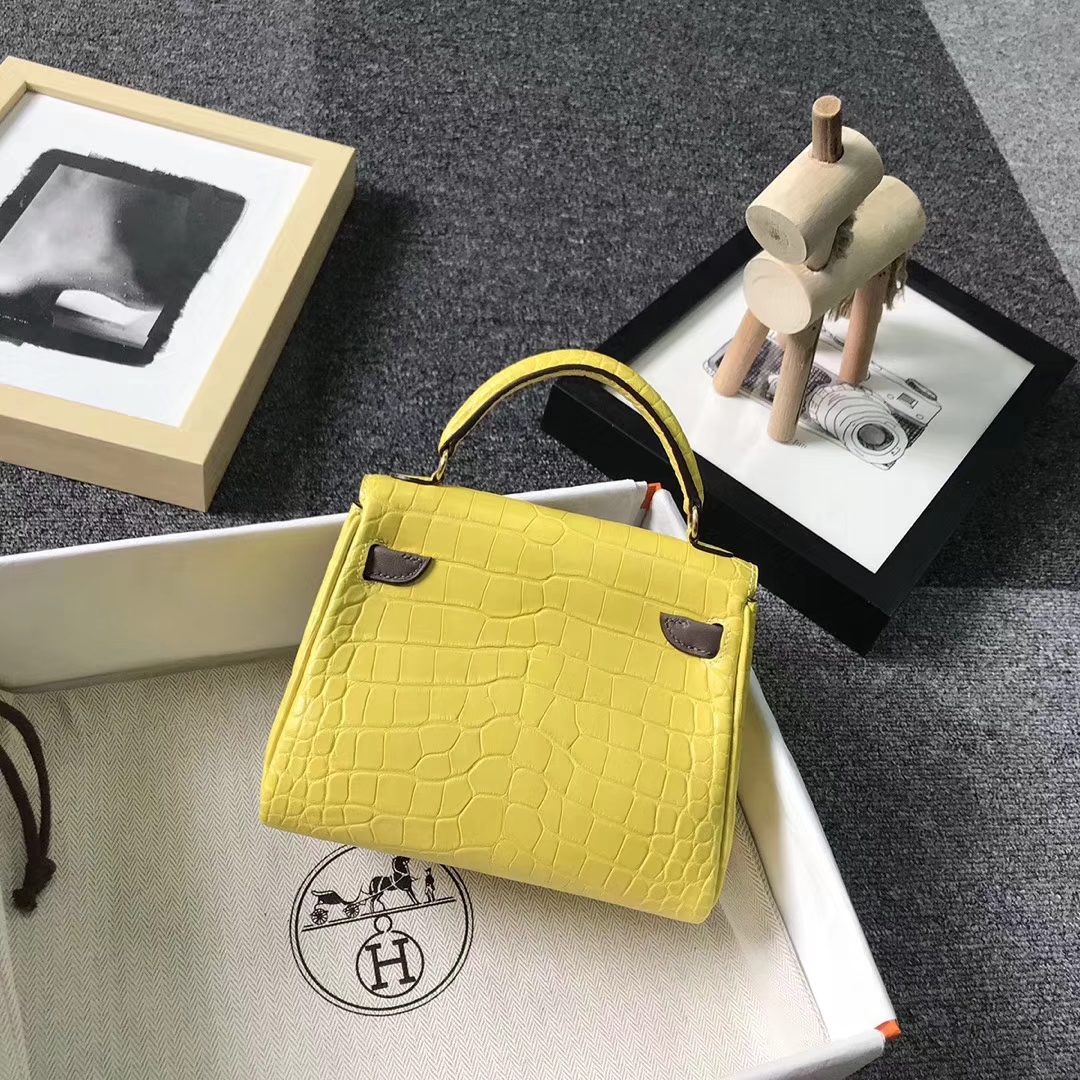 Hermès（爱马仕）琥珀黄拼大象灰 鳄鱼皮 Kelly doll 金扣