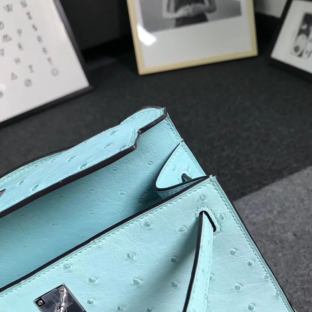 Hermès（爱马仕）马卡龙蓝 原厂御用顶级鸵鸟皮 Mini Kelly