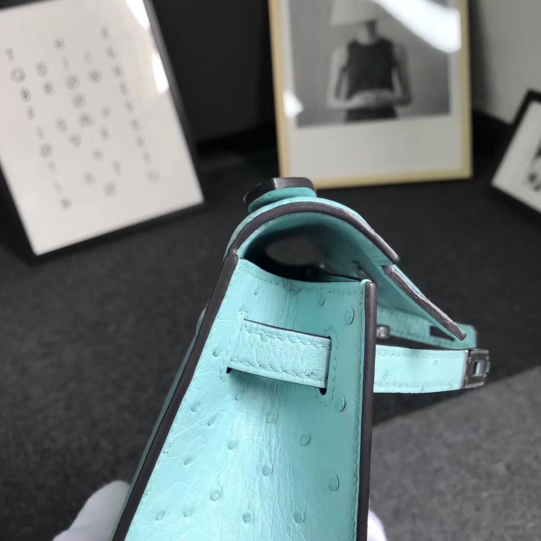 Hermès（爱马仕）马卡龙蓝 原厂御用顶级鸵鸟皮 Mini Kelly