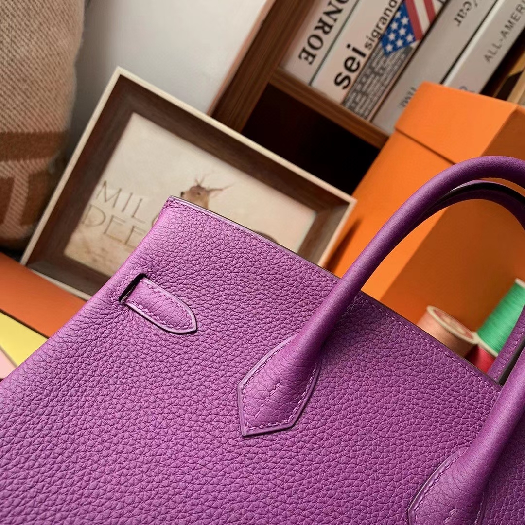 Hermès（爱马仕）P9海葵紫 原厂御用顶级小牛皮 Birkin 25 金扣
