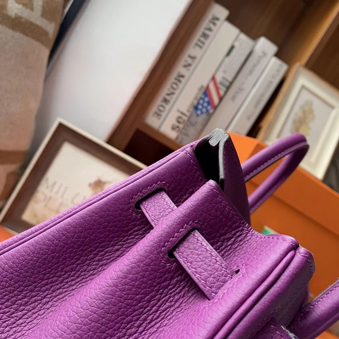 Hermès（爱马仕）P9海葵紫 原厂御用顶级小牛皮 Birkin 25 金扣