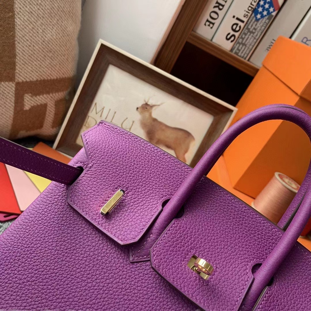 Hermès（爱马仕）P9海葵紫 原厂御用顶级小牛皮 Birkin 25 金扣