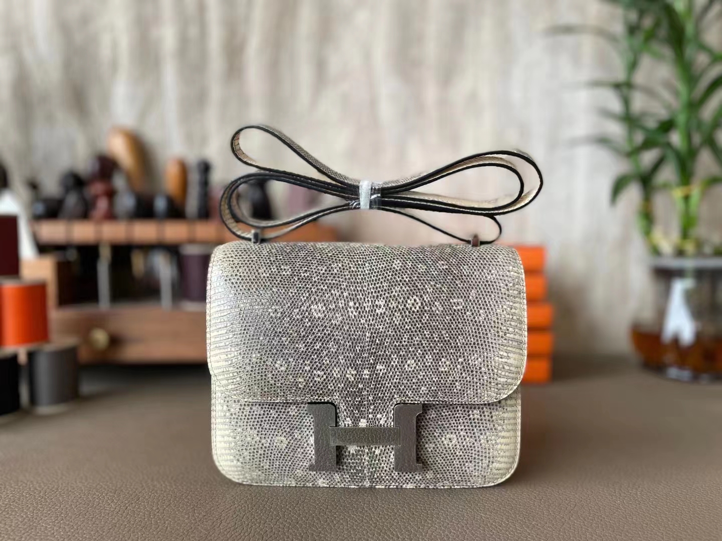 Hermès（爱马仕）Constance 康康 原色 蜥蜴皮 银扣 19cm