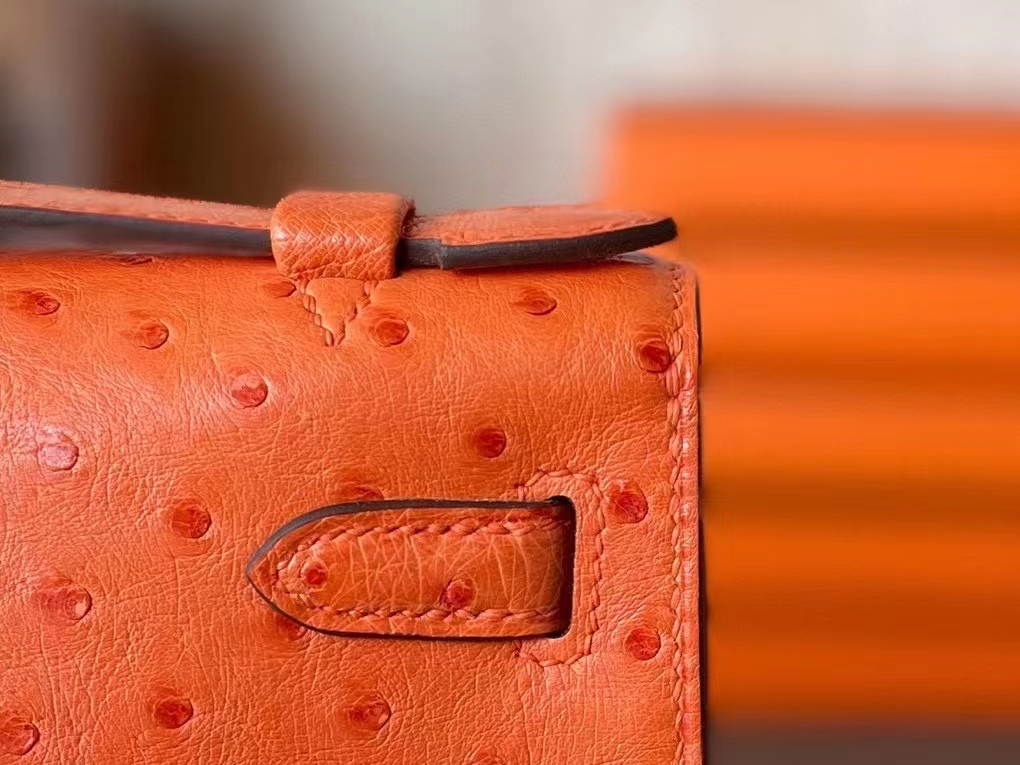 Hermès（爱马仕）mini kelly pochette 顶级鸵鸟皮 橙色 金扣 22cm 一代